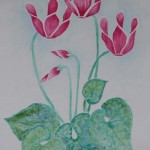 mai-1 mai-1